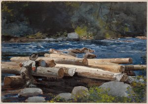  von Winslow Homer