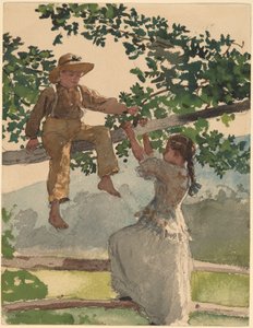 Auf dem Zaun