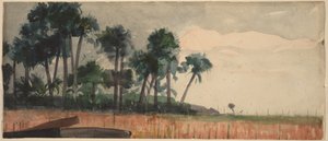 Palmen, Rot von Winslow Homer