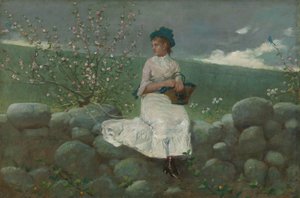 Pfirsichblüten