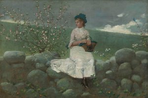 Pfirsichblüten, 1878