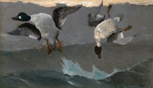  von Winslow Homer