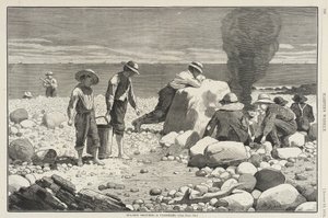 von Winslow Homer