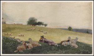 Hirtin von Houghton Farm, 1878 von Winslow Homer
