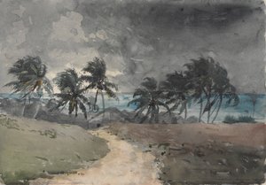 Sturm, Bahamas von Winslow Homer