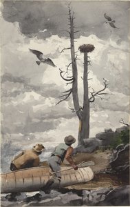 Das Nest des Adlers von Winslow Homer