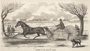 Trab auf dem Mühlendamm, Boston