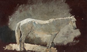 Weißes Pferd