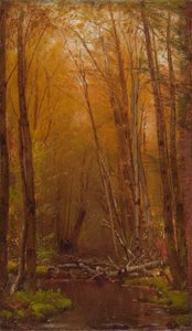 Die Birken der Catskills
