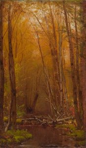 Die Birken der Catskills