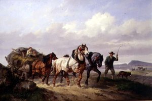 Ein Gespann von Zugpferden