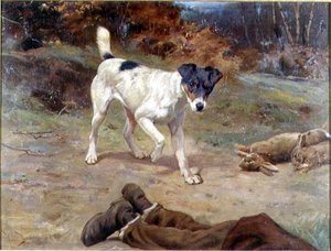 Ein Jack Russell an einem Kaninchenloch