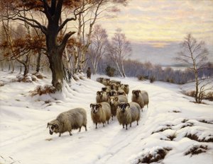 Ein Hirte und seine Herde auf einem Pfad im Winter