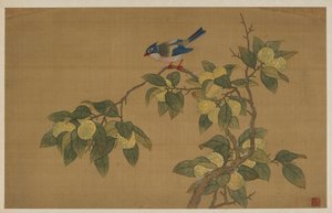 Vogel und Frucht