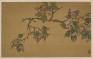 Vogel und Frucht