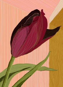 Purpurne Tulpen-Ecke