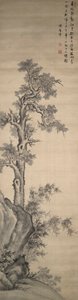 Wutong-Baum, Bambus und Felsen