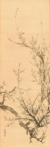 Pflaume, vor 1856