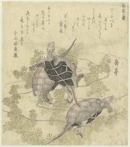 Drei Schildkröten zwischen Wasserpflanzen von Yashima Gakutei