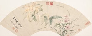 Nelken und Amaranthus