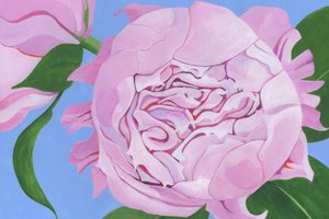 Rosa Pfingstrosenblüte von Yvonne Gustafsson