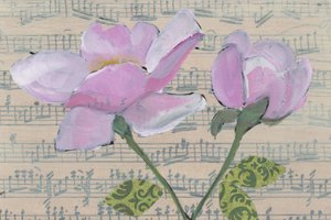 Weiche Rosa Rosenmusik