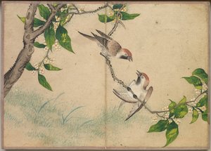 Schreibtischalbum: Blumen- und Vogelmalereien (Schwatzende Spatzen) von Zhang Ruoai