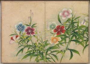 Schreibtischalbum: Blumen- und Vogelmalereien (Nelken)