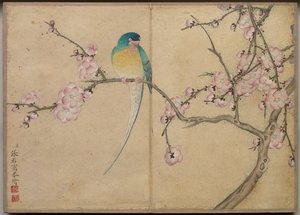 Schreibtischalbum: Blumen- und Vogelmalereien, Vogel mit Pflaumenblüten, 18. Jahrhundert