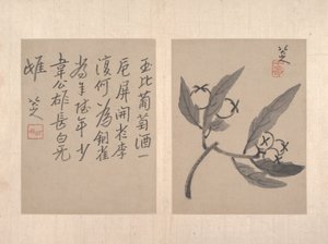 Album mit verschiedenen Gemälden (Album mit zwölf Gemälden)