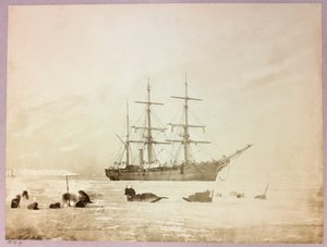 Expedition in die Arktis (1875-1876) des Kapitäns George Nares (1831-1915): H