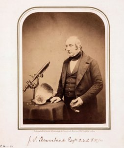 James Scott Bowerbank, britischer Geologe von Ferdinand Georg Waldmuller