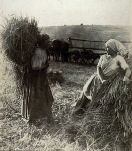 Die Schnitterinnen, um 1900 von Frederick (attr. to) Barnard