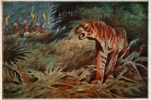 Menschenfressender Tiger
