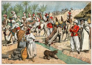 Oase in der Sahara von . .