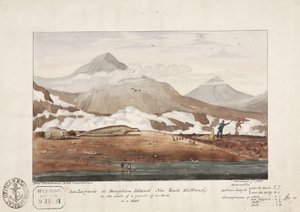 Seeleoparden auf Deception Island, Neue Süd-Shetlandinseln, 7. Januar