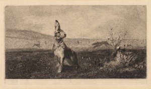 Der Hase (Le Lièvre)