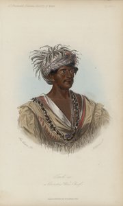 Tuch-ee, ein Cherokee-Kriegshäuptling (Aquatinta)