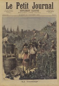 Die Weinlese
