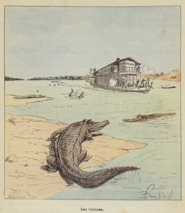 Die Kaimane von after Louis Charles Bombled