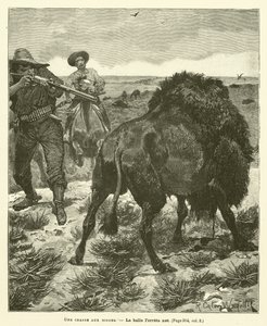Eine Bisonjagd von after Richard Caton II Woodville