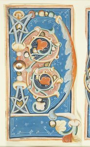 Ornamentierter Initialbuchstabe C
