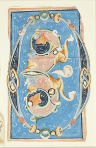 Verzierte Initiale O