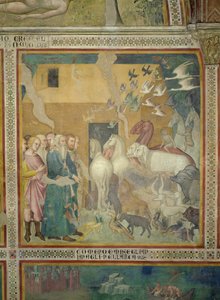 Noah führt die Tiere in die Arche, 1356-67 von also Manfredi de Battilori Bartolo di Fredi