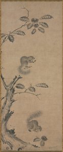 Eichhörnchen auf dem Kastanienbaum