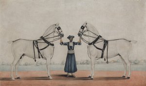 Ein Syce-Groom hält zwei Kutschpferde von attributed to Shaikh Muhammad Amir of