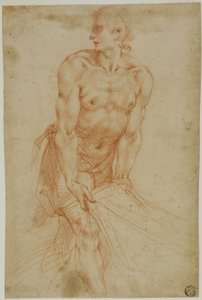 Mann, der an einem Laken zieht: Studie für die Grablegung (Sakristei der Certosa di San Martino, Neapel, 1596) von called Cavaliere d