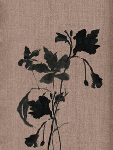 Schwarze Botanische Silhouette
