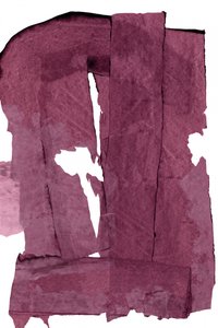 Tiefpflaumenschichten von cartissi