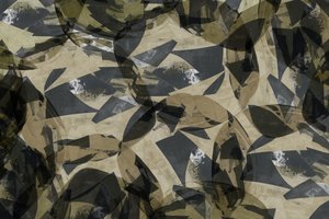 Erdige abstrakte Formen von cartissi